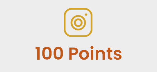 Rosineer Rewards Program Get 100 for Following us on Instagram