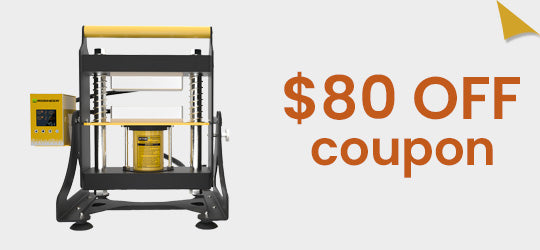 Rosineer SWING $80 Off Coupon with 710 Sale